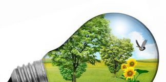 El EVE abre un nuevo programa de ayudas a inversiones en Eficiencia Energética y Energías Renovables en Ayuntamientos