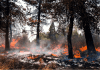 Un sistema de sensorización para prevenir incendios en zonas montañosas